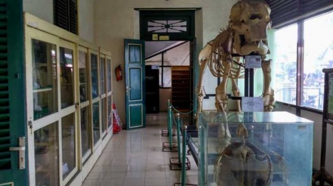 Museum Biologi