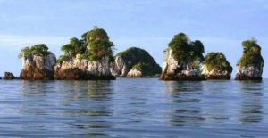 Pulau Jemur - Wisata Riau