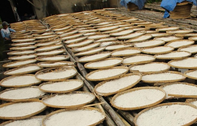 7 Manfaat Tepung Aren untuk Tubuh Manusia » WebsiteRiau.co.id